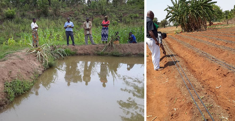 Building capacity of communities on creating and preserving Charco dams and using them for Drip Farming Technology on their farms