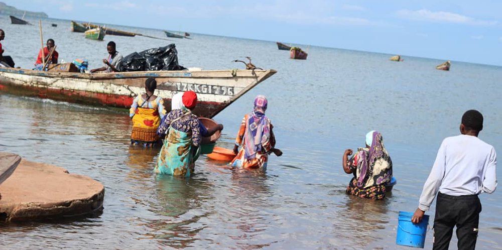 Women wade through water to fish boats to purchase fish for resale - Lake Victoria, Mwanza
